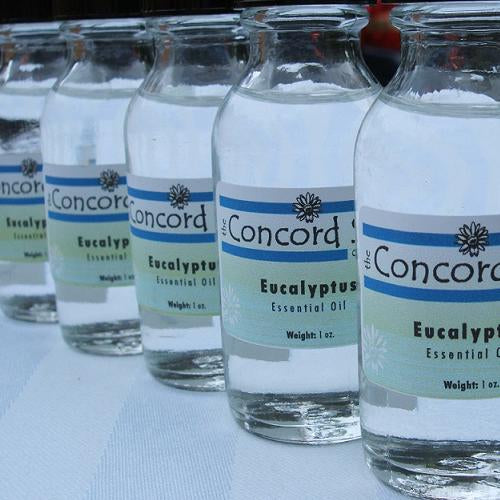 Revitalize Your Senses: Refresher Oils made with Fragrance Oils or Essential Oils