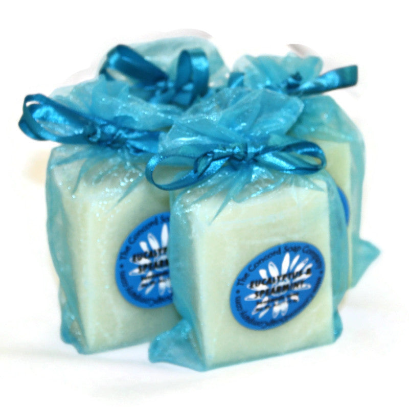 Eucalyptus and Spearmint Handmade Soap – Natural Cold Process Bar, Hydrating, Invigorating Minty Scent, Unisex Vegan Gift, 4 oz