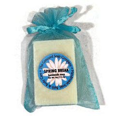 NEW Spring Break Handmade Cold Process Soap Bar, 4oz