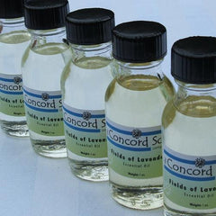 Candy Cane Refresher Oil - Seasonal Winter Holiday Scent