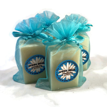 NEW Spring Break Handmade Cold Process Soap Bar, 4oz